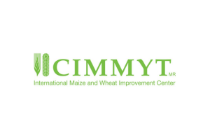 ICIMMYT logo placeholder