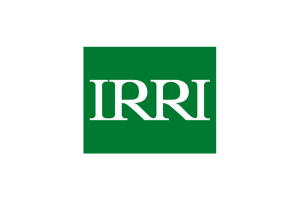 IRRI logo placeholder