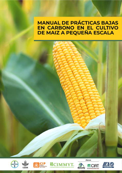 Featured article image