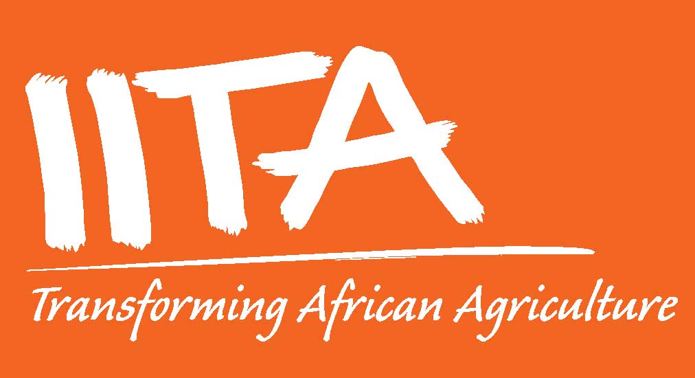 International Institute of Tropical Agriculture logo