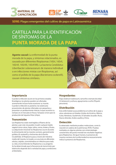 Cartilla para la identificación de síntomas de la punta morada de la papa