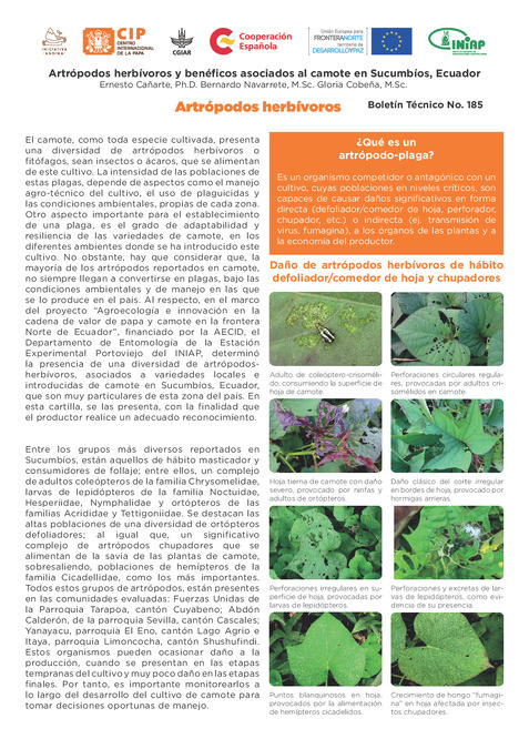 Artrópodos herbívoros y benéficos asociados al camote en Sucumbíos, Ecuador. Boletín Técnico No. 185