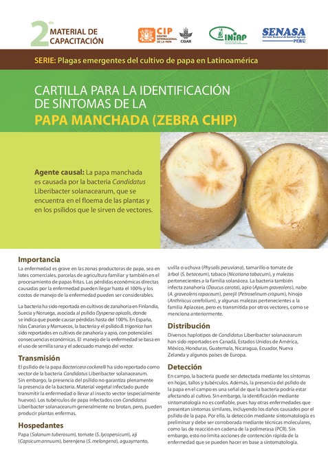 Cartilla para la identificación de síntomas de la papa manchada (zebra chip)