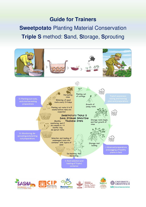 Guide for Trainers Sweetpotato Planting Material Conservation Triple S method: Sand, Storage, Sprouting