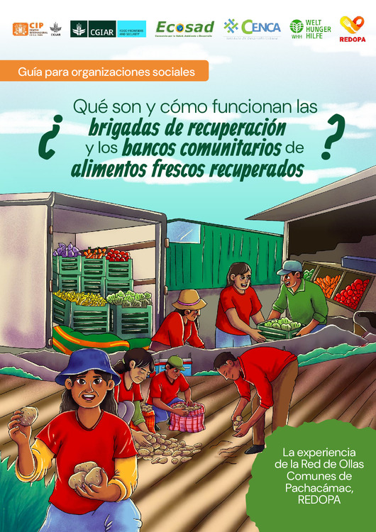 Guía para organizaciones sociales: ¿Qué son y cómo funcionan las brigadas de recuperación y los bancos comunitarios de alimentos frescos recuperados?