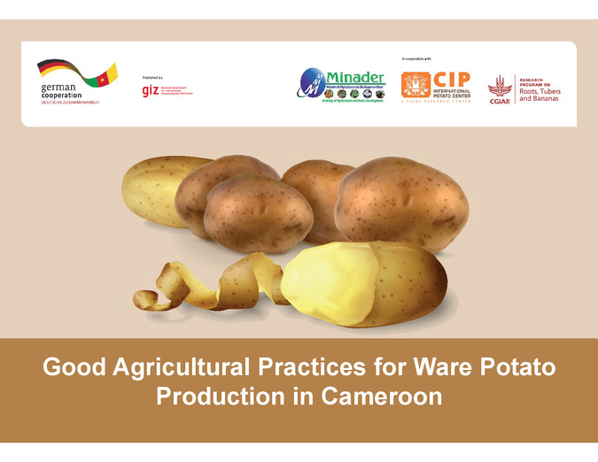 Good agricultural practices for ware potato production in Cameroon: Visual aid