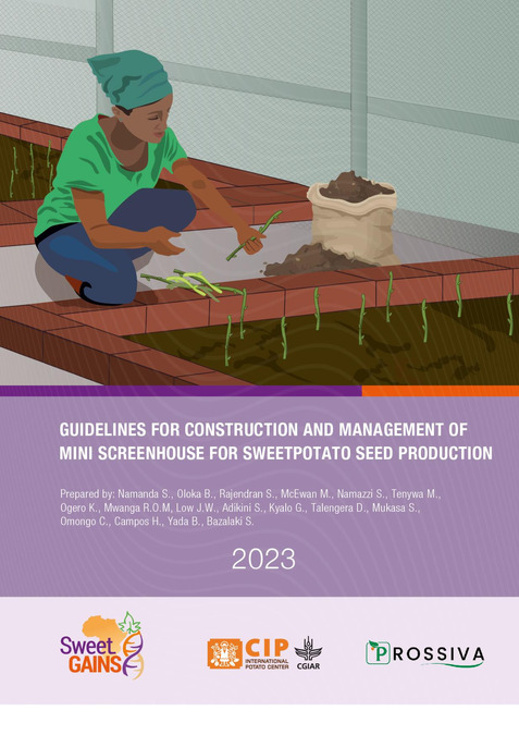 Guidelines for construction and management of mini screenhouse for sweetpotato seed production