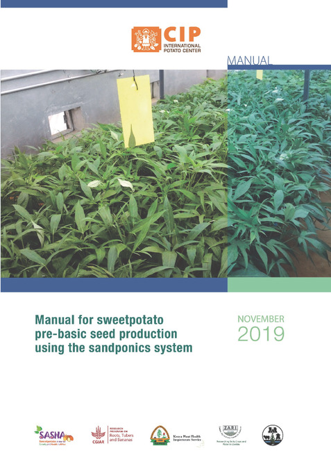 Manual for sweetpotato pre‐basic seed production using the sandponics system