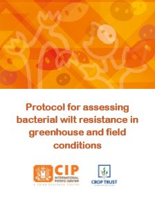 Protocol for assessing bacterial wilt resistance in greenhouse and field conditions. International cooperators’ guide