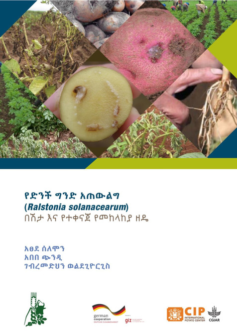 የድንች ግንድ አጠውልግ (Ralstonia solanacearum) በሽታና የተቀናጀ የመከላከያ ዘዴ
