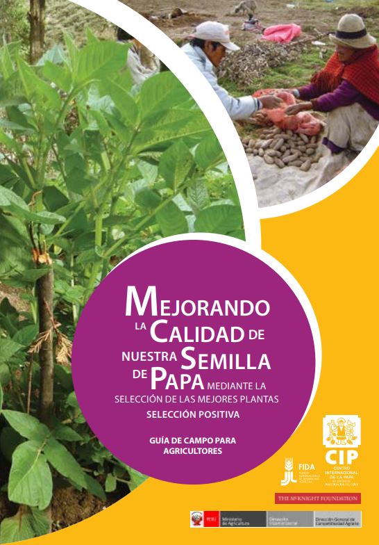 Mejorando la calidad de nuestra semilla de papa mediante la seleccion de las mejores plantas, seleccion positiva: Guia de campo para agricultores.