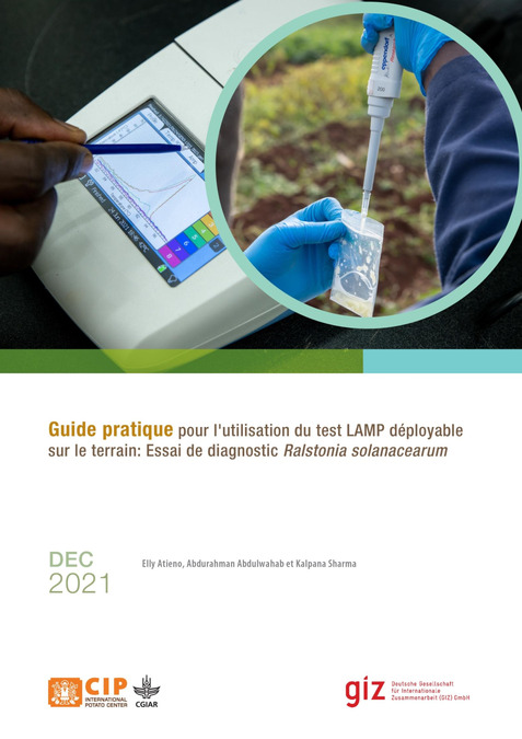 Guide pratique pour l’utilisation de l’essai LAMP déployable (applicable) sur le terrain pour les diagnostics de Ralstonia solanacearum