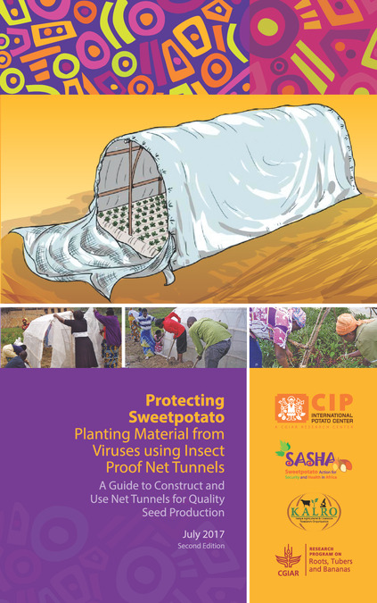 Protecting sweetpotato planting materials from viruses using insect proof net tunnels