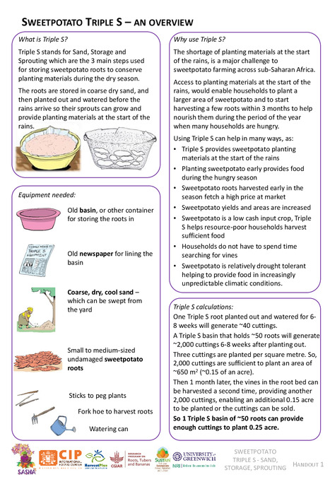 Sweetpotato Triple S – an overview. Handout 1