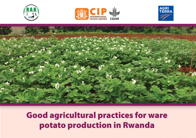 Good agricultural practices for ware potato production in Rwanda. Visual Aid