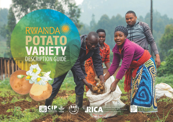 Rwanda potato variety description guide
