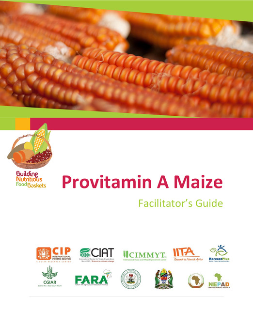 Training of Trainers (ToT) High-Iron Beans: A Biofortified Solution for Iron Deficiency. Participant’s Guide.