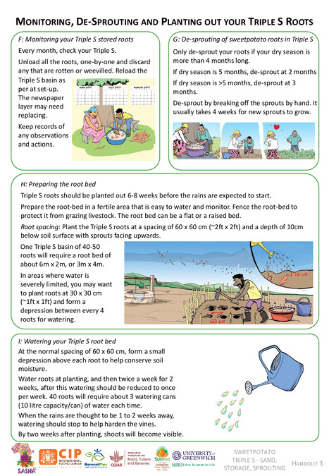 Monitoring, de-sprouting and planting out your Triple S roots. Handout 3