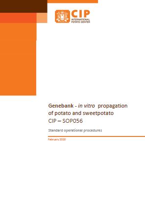 Genebank ‐ in vitro propagation of potato and sweetpotato. CIP‐SOP056 V 3.0