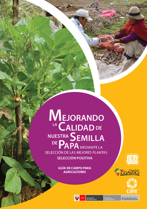 Mejorando la calidad de nuestra semilla de papa mediante la seleccion de las mejores plantas, seleccion positiva: Guia de campo para agricultores