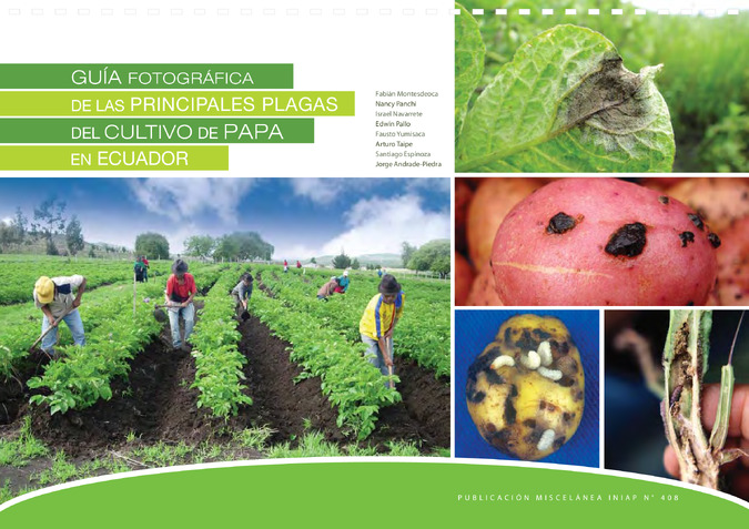 Guia fotografica de las principales plagas del cultivo de papa en Ecuador