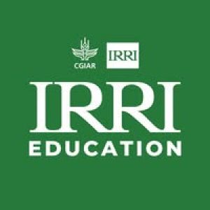 Profile photo of IRRI Education