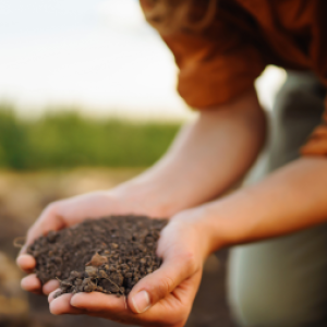 Group logo of Understanding Soil Health for Sustainable Agriculture: Principles and Practice
